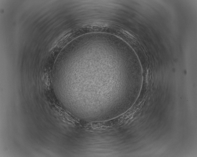 X0000070200774200605301336