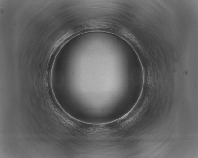 X0000070200786200605301336