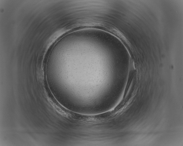 X0000070200787200605301336