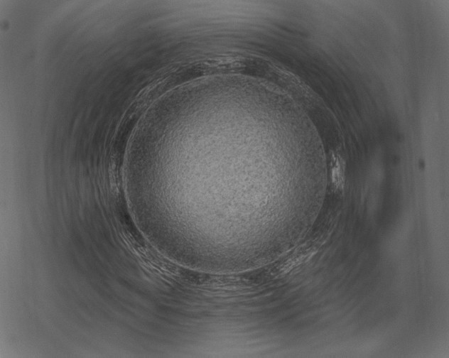 X0000070200819200605301335