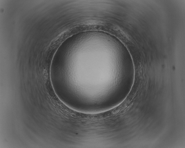 X0000070200821200605301335