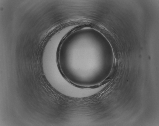 X0000070200822200605301335