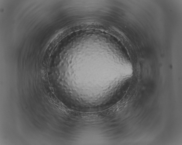 X0000070200823200605301335