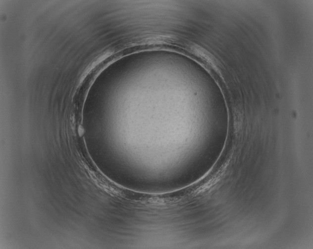 X0000070200827200605301335