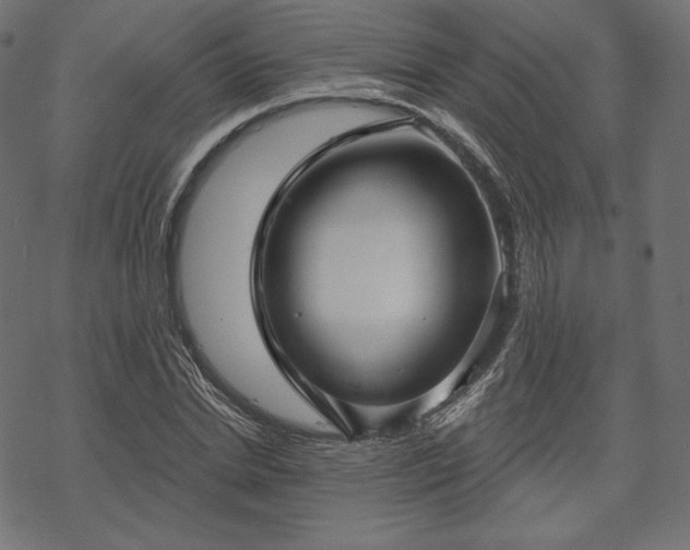 X0000070200830200605301335