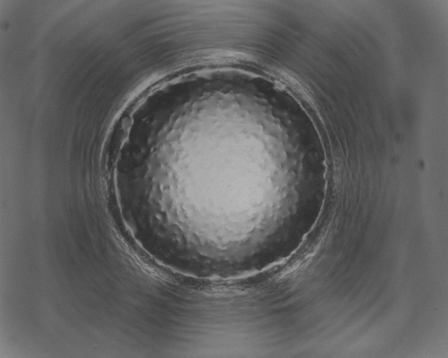 X0000070200835200605301335
