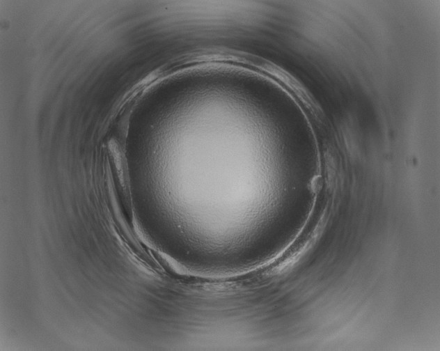 X0000070200857200605301336