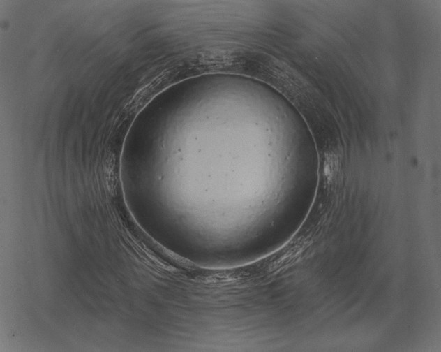 X0000070200867200605301335