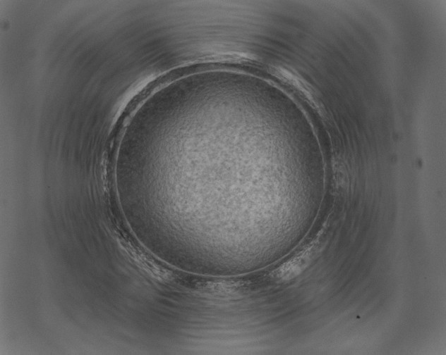 X0000070200875200605301335