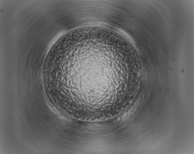 X0000070200907200605301334