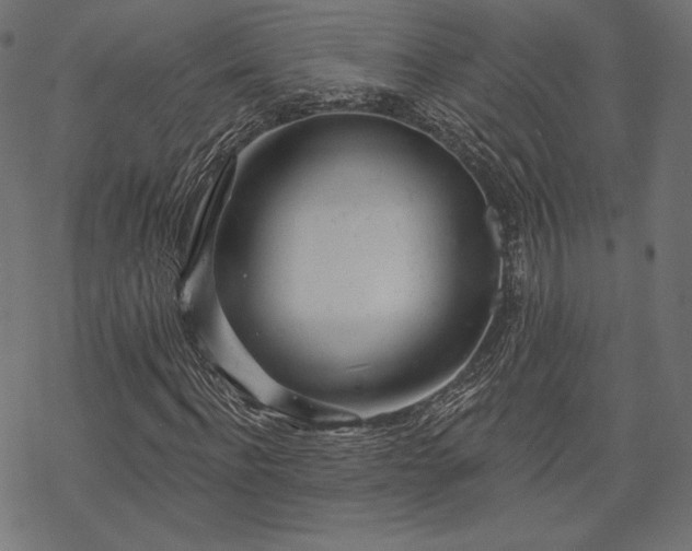 X0000070200916200605301333