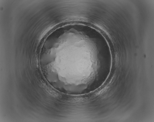 X0000070200925200605301334