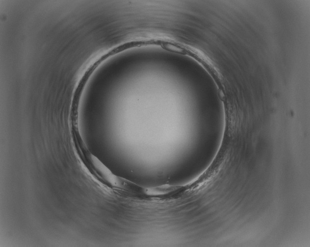 X0000070200943200605301334