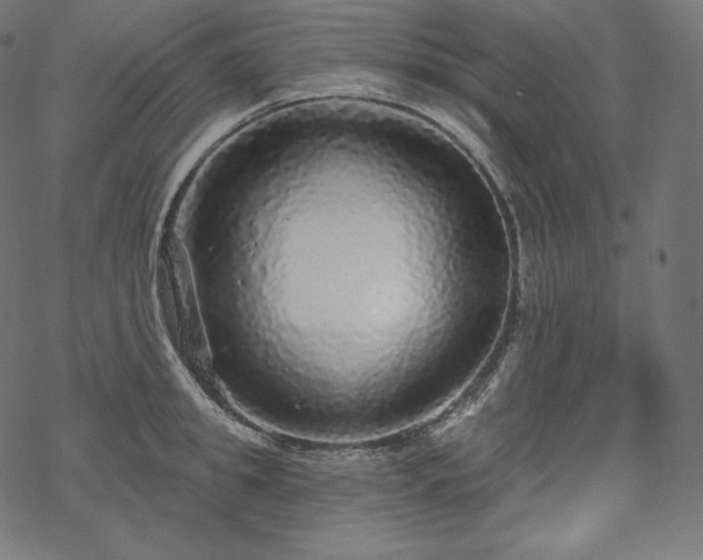 X0000070200949200605301334