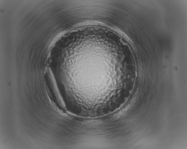 X0000070200953200605301334