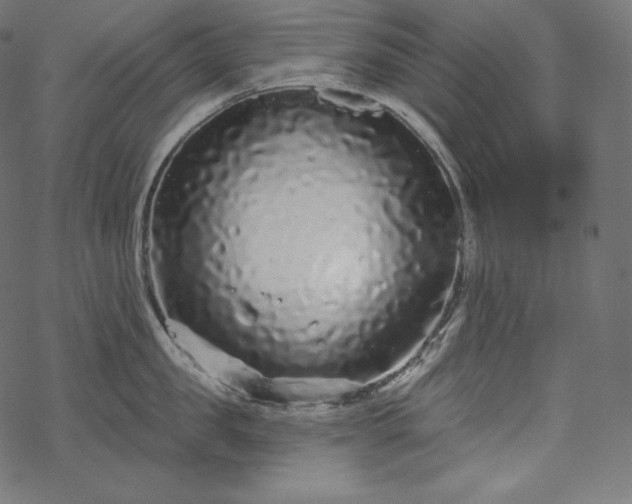 X0000070200957200605301334