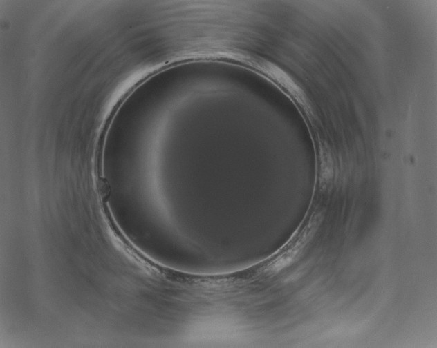 X0000070200958200605301334