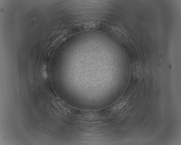 X0000070200962200605301333