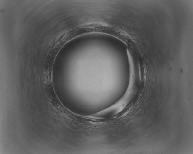 X0000070200965200605301333
