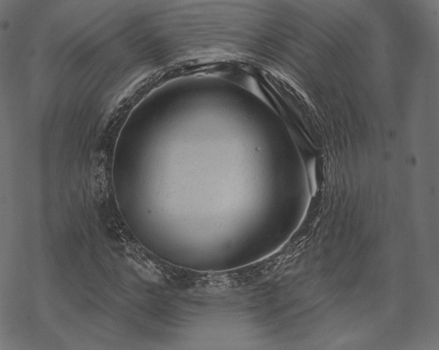 X0000070200968200605301333