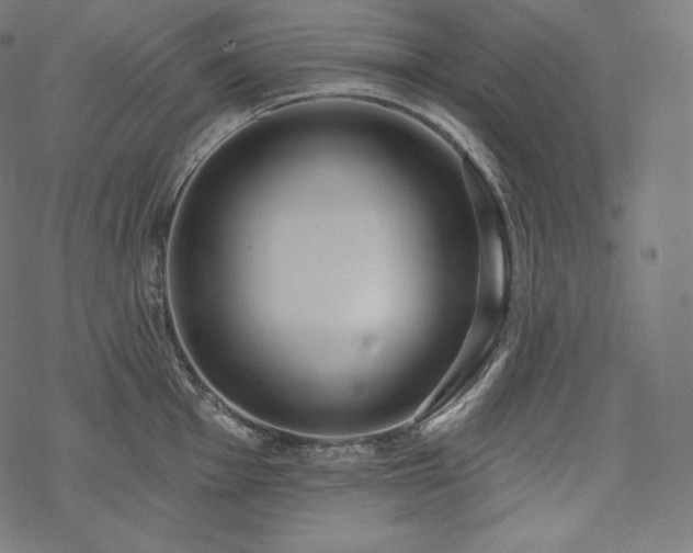X0000070201001200605301333