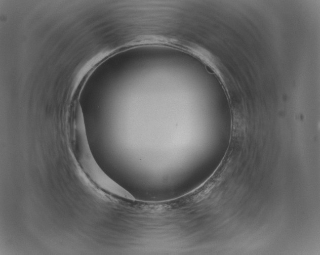 X0000070201003200605301333