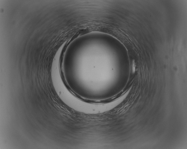 X0000070201010200605301332