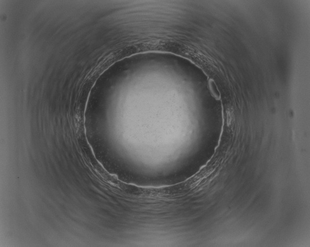 X0000070201011200605301332