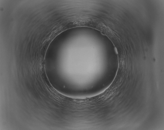 X0000070201012200605301332