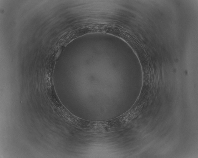 X0000070201013200605301332