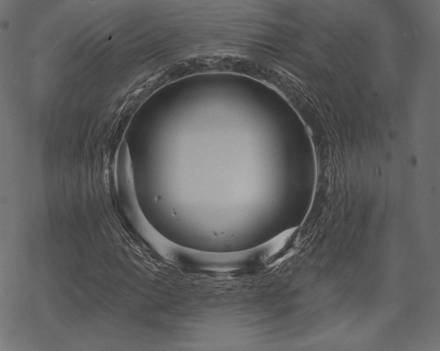 X0000070201014200605301332
