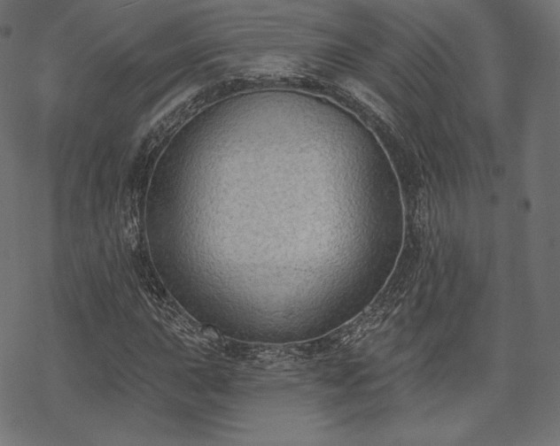 X0000070201015200605301332