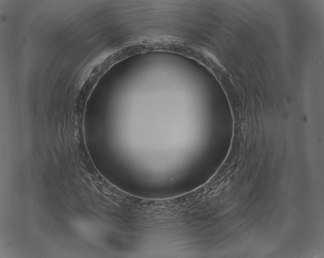 X0000070201016200605301332