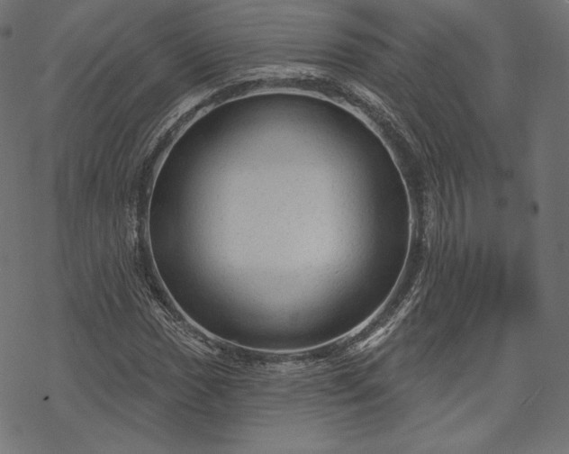 X0000070201017200605301332