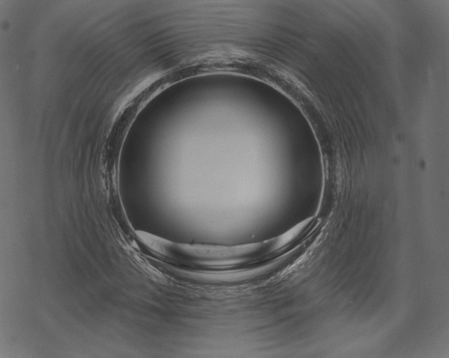 X0000070201018200605301332