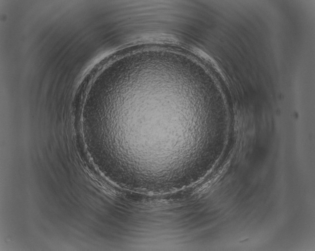 X0000070201019200605301332