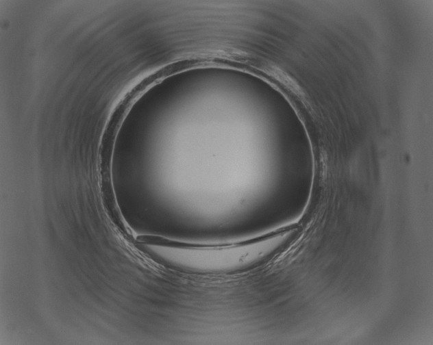X0000070201020200605301332