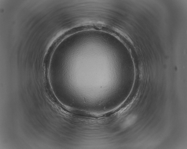 X0000070201021200605301332