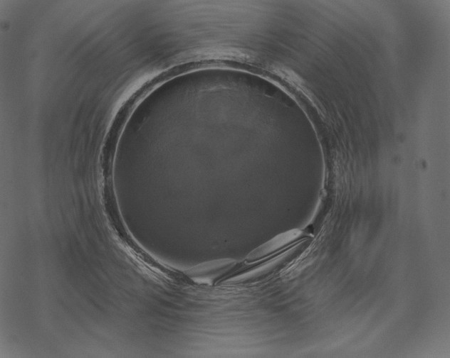 X0000070201024200605301332