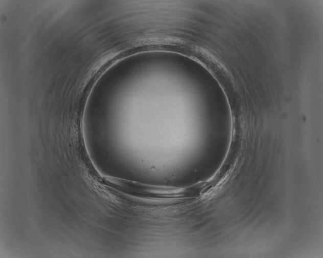X0000070201025200605301332