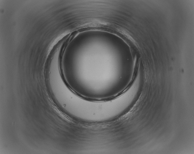 X0000070201026200605301332