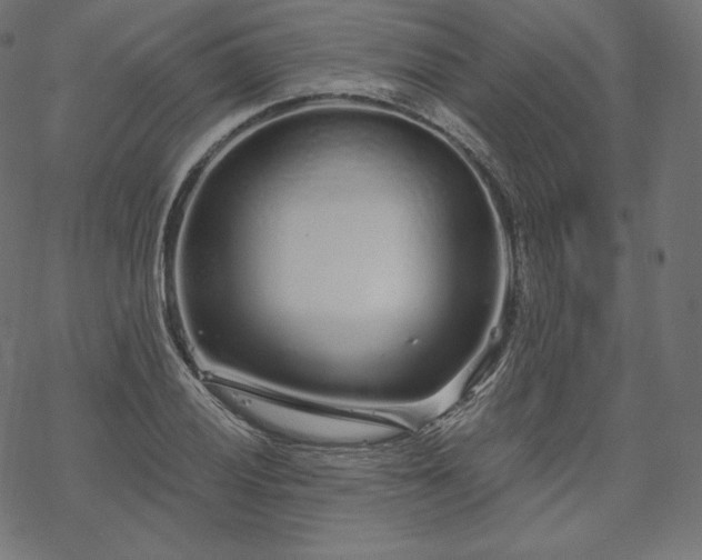 X0000070201028200605301332