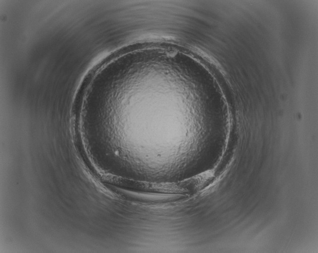 X0000070201029200605301332