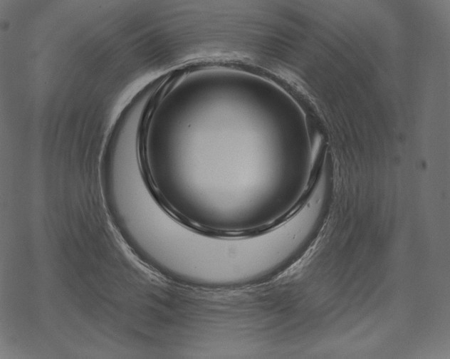 X0000070201030200605301332
