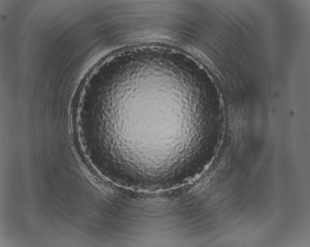 X0000070201031200605301332