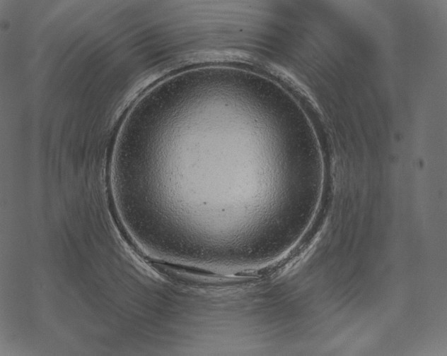 X0000070201033200605301332