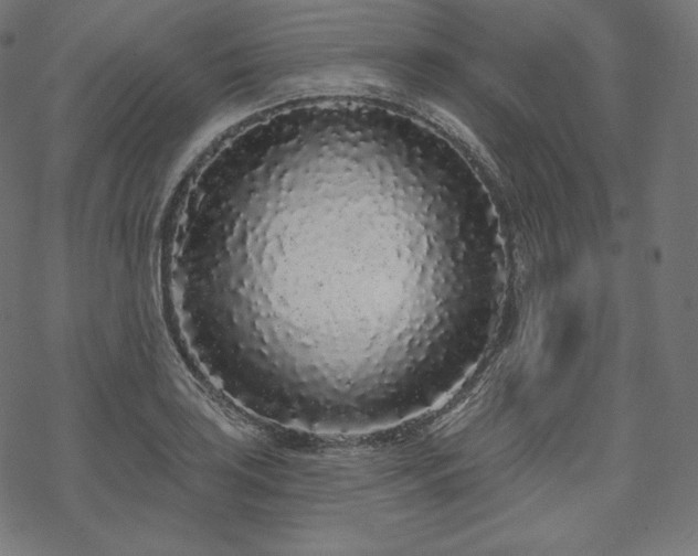 X0000070201035200605301332