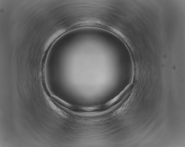 X0000070201042200605301332