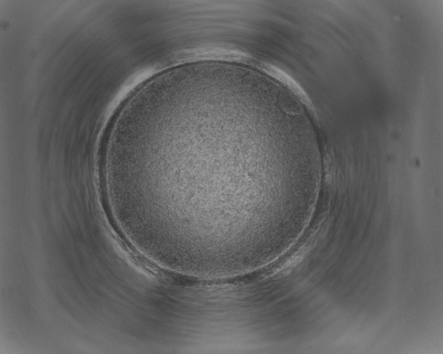 X0000070201043200605301332