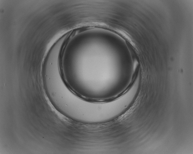 X0000070201046200605301332